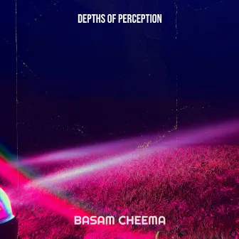 Depths of Perception by Basam Cheema