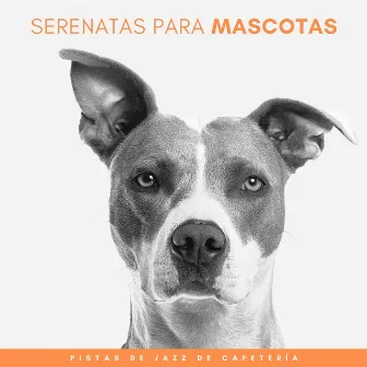 Serenatas Para Mascotas: Pistas De Jazz De Cafetería by Colectivo Smooth Jazz Nueva York