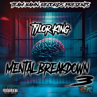 Mental Breakdown 3 by Tylor King