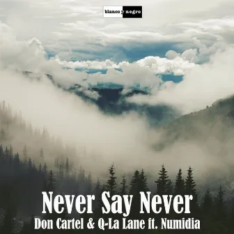 Never Say Never by Don Cartel