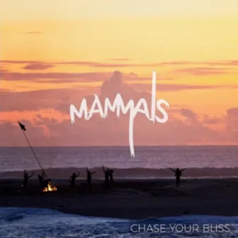 Chase Your Bliss by Mammals