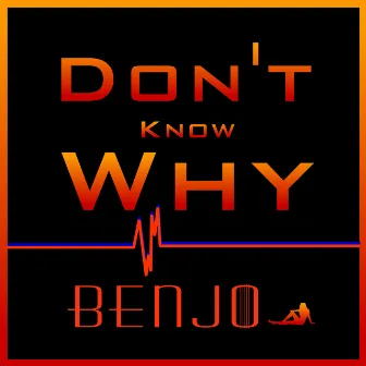 Don't Know Why by BenJo