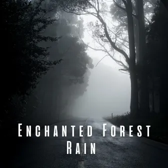 Enchanted Forest Rain ASMR by Forest FX