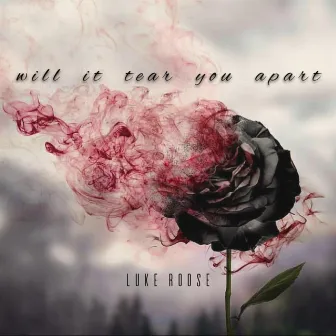 will it tear you apart by Luke Roose