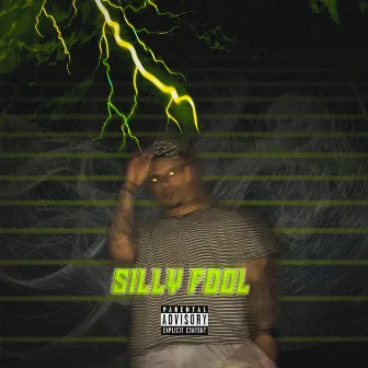 Silly Fool by Meech