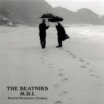 M.R.I~Musical Resonance Imaging by THE BEATNIKS