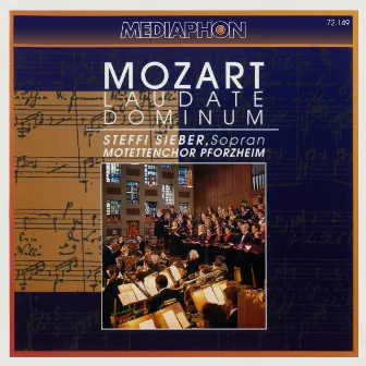 Mozart: Laudate Dominum by Südwestdeutsches Kammerorchester Pforzheim