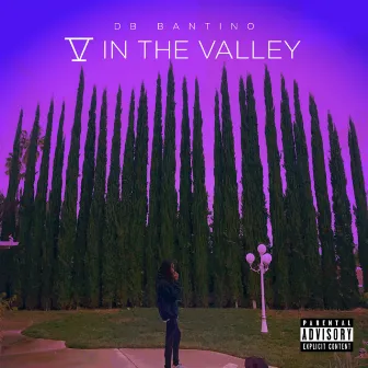 5 in the Valley by Db Bantino