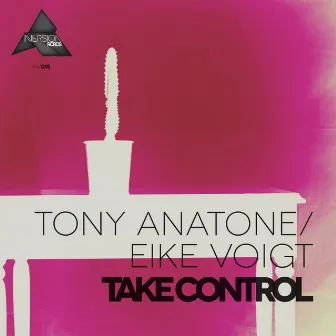 Take Control by Tony Anatone