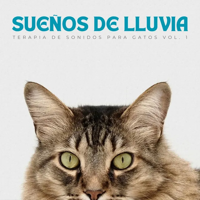 Sueños De Lluvia: Terapia De Sonidos Para Gatos Vol. 1