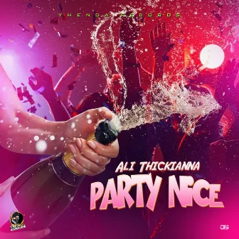 Party Nice by Unknown Artist