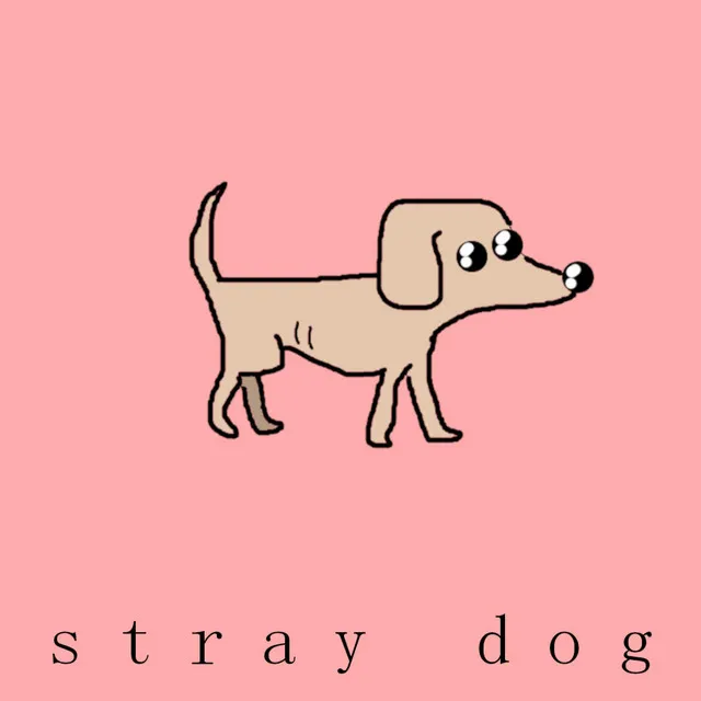 Stray Dog (No Intro)