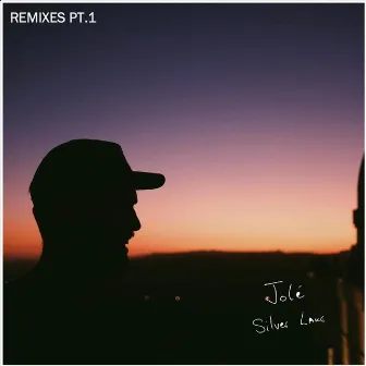 Silver Lake Remixes Pt. 1 by Jolé