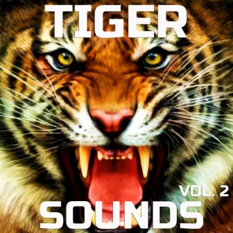 Tiger Sounds, Vol. 2 by Tiger Sounds