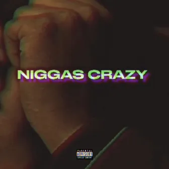 Niggas Crazy by Rich Sosa