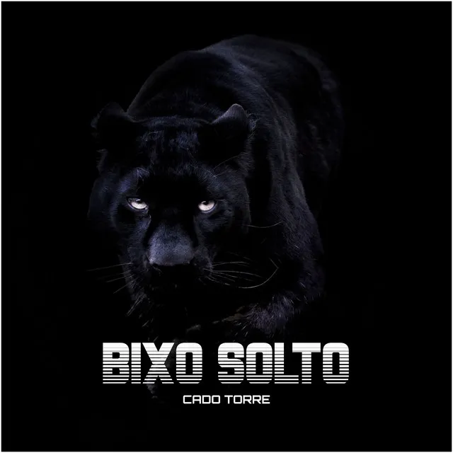 Bixo Solto