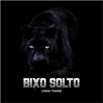 Bixo Solto by Cado Torre