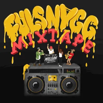 FULSNYGG MIXTAPE by Mollgan