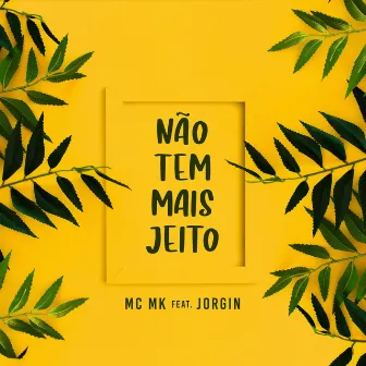 Não Tem Mais Jeito by Mc Mk