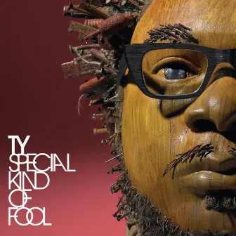 Special Kind of Fool by Ty