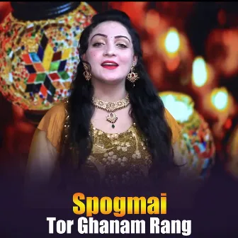 Tor Ghanam Rang by Spogmai