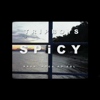 Spicy by Tripboys