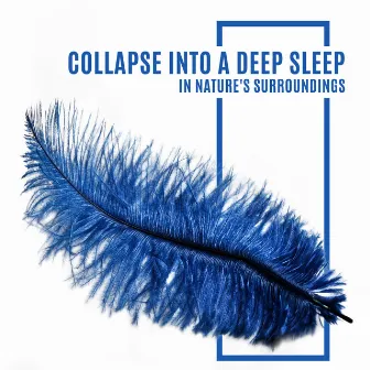 Collapse into a Deep Sleep in Nature's Surroundings (Restful & Deep Sleep, Soft Instrumental & Natures Tones) by Deep Sleep Songs with Nature Sounds