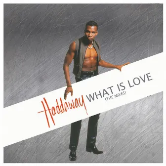 What Is Love (The Mixes) by Haddaway