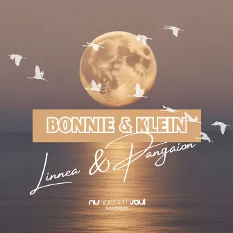 Linnea & Pangaion by Bonnie & Klein