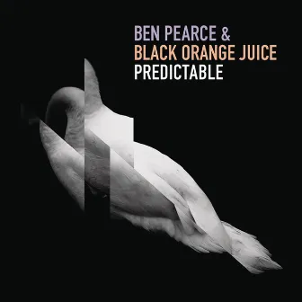 Predictable by Black Orange Juice