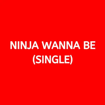 Ninja Wanna Be (Freestyle) by Lil Joshy