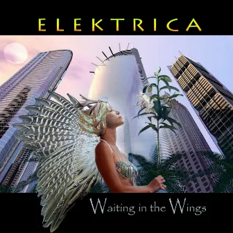 Waiting in the Wings (Maxi Single) by Elektrica