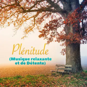 Plénitude (Musique Relaxante et de Détente) by Zone de Détente