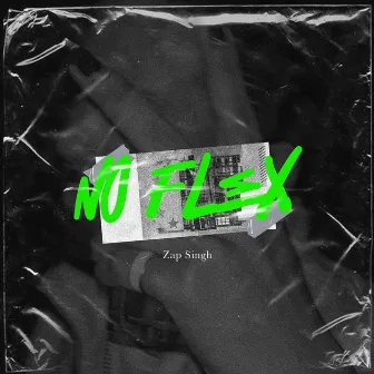 No Flex by Zap Singh