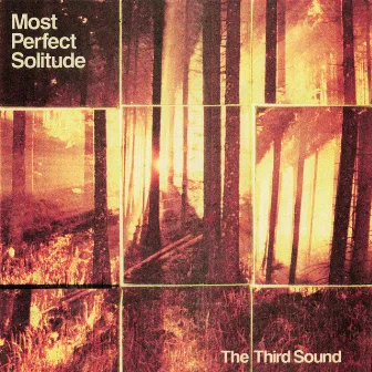 Wasteland by The Third Sound