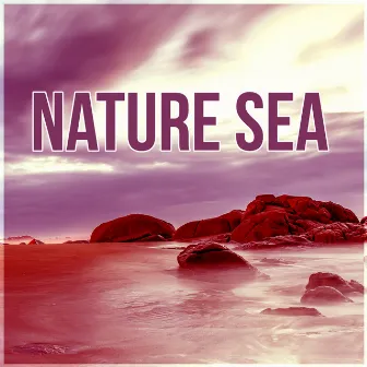 Nature Sea - Music and Pure Nature Sounds for Stress Relief, Mindfulness Meditation Spiritual Healing by Sea Tranquility Academy