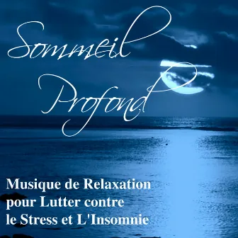 Sommeil Profond: Musique de Relaxation pour Lutter contre le Stress et L'Insomnie, Chansons de Piano Douce pour se Détendre by Musique Ambiance Détente