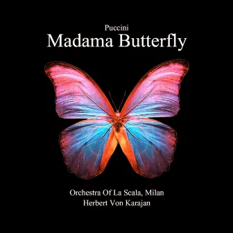 Madama Butterfly by Mario Borriello