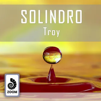 Troy by Solindro