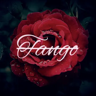 TANGO by 