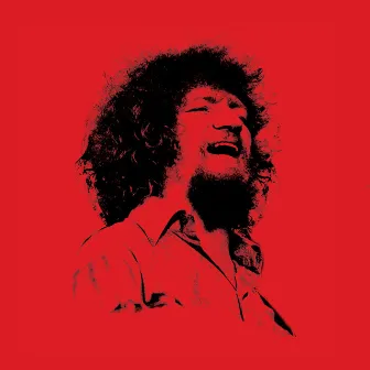 Thank You For The Days by Luke Kelly