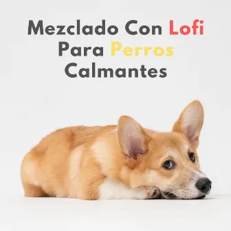 Melodía De Sueño: Mezclado Con Lofi Para Perros Calmantes by Música para perros de moda