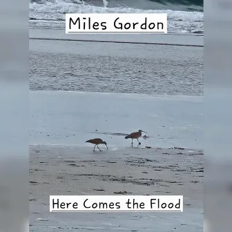 Here Comes The Flood by Miles Gordon