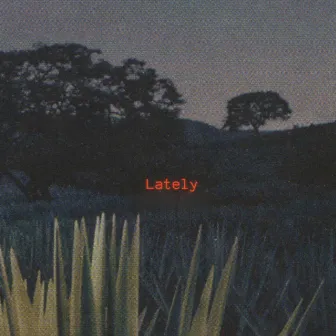 Lately by Unknown Artist