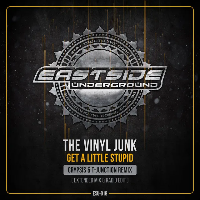 Get a Little Stupid (Crypsis & T-Junction Remix) - Radio Edit