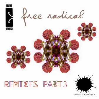 Free Radical Remixes Part 3 by Cravo E Canela