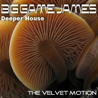 The Velvet Motion by Big Game James