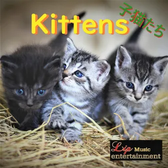 Kittens by Lip