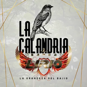 La Calandria by Banda Lirio