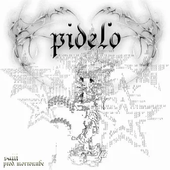 Pidelo by morro nube